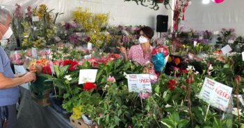Expoflor 2022 será de 3 a 7 de setembro no Espaço Cultural Nelson