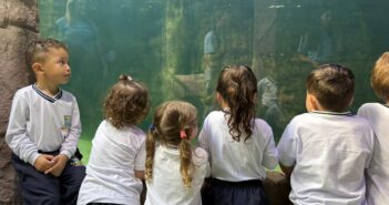 Pequenos Navegantes: CMEI Alto São Bento finaliza projeto com visita ao Oceanic Aquarium
